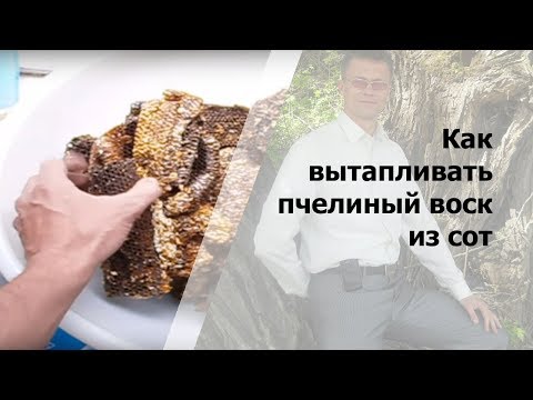Как вытопить воск из сот в домашних условиях 741