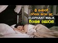 International Films and Sri Lanka | EP02 | Elephant Walk (1954)