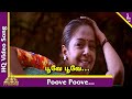 Poove Poove Video Song | Poovellam Kettupar Tamil Movie Songs | Suriya | Jyothika | Yuvan