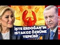 AKP'de Istakoz Vakaları Bitmiyor! Şebnem Bursalı Erdoğan'dan Özür Diledi Erdoğan Bakın Ne Yapmış!