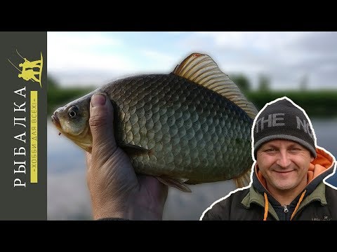 ловим весной крупного карася ловим весной крупного карася