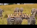 Rayvanny - Vacation (Official Music Video)
