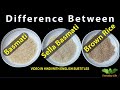 Difference Among Basmati, Sella Basmati & Brown Rice | बासमती, सैला और ब्राउन चावल |Everyday Life#24
