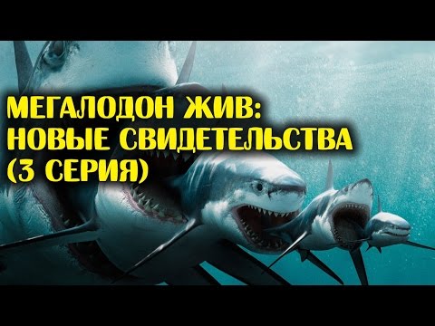 Как сделать мегалодона Как сделать мегалодона