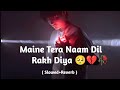 Maine Tera Naam Dil Rakh Diya 🥺 ( Slowed+Reverb ) Hindi Sad Song | Raghav Chaitanya | Alone Boy 💔