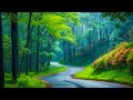 Music heals the heart and blood vessels🌿 Soothing music restores the nervous system, relaxing #56