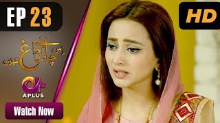 Drama Is Chand Pe Dagh Nahin - Episode 23 Aplus ᴴᴰ Dramas Zarnish Khan, Firdous Jamal Drama Is Chand Pe Dagh Nahin - Episode 23 Aplus ᴴᴰ Dramas Zarnish Khan, Firdous Jamal