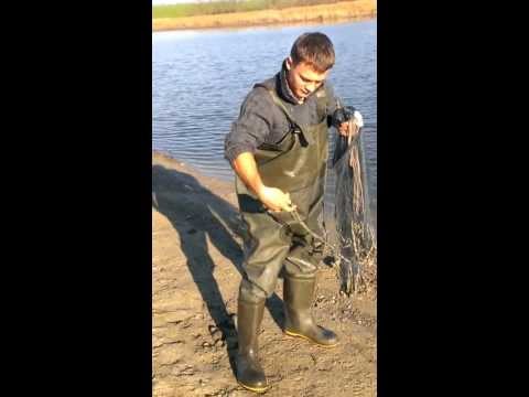 как научиться кастинговой сетью как научиться кастинговой сетью
