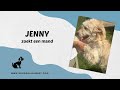 Jenny zoekt een mand