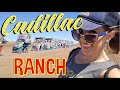 The Fabulous Cadillac Ranch of Amarillo, Texas