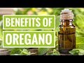 4 Science-Based Health Benefits of Oregano