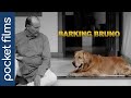 Barking Bruno | A Modern Family's Tale of Transformation | Hindi Touching Short Film