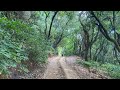 Koyna Wildlife Sanctuary Chandoli National Park Sahyadri Tiger Reserve|Forest Escapes|The high roads