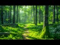 Soothing music for nerves🌿 healing music for the heart and blood vessels, relaxation