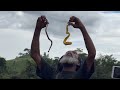 PNG snakeman