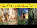 Zina ki ibtda kab hoi | History of zina | Islamic Story | Islami Waqiat