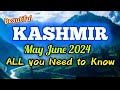 Kashmir trip ALL you NEED to KNOW | Complete Tour Guide | Budget Travel Best Sightseeing
