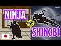 What Are The Differences Between NINJA & SHINOBI? The 600 Years of History And Many Other Names