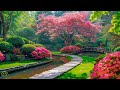 All your worries will disappear if you listen to this music🌿 Relaxing music calms your nerves #7