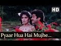 Pyar Hua Hai Mujhe - Anil Kapoor - Madhuri Dixit - Jamai Raja Bollywood Songs