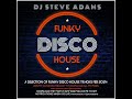 Funky Disco House Feb 2024