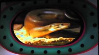 The Wiggles - Where's Jeff? - Snakes