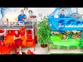 Five Kids Four Colors Elements Build a Bunk Bed! Fire, Water, Air and Earth Challenge