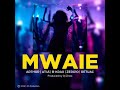 Mwaie by Arthur, AT45, B-KRAX, ZERO-10, Retuac & DJ Zinox OS Production