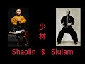 Shaolin del Norte & Shaolin del Sur  Kung Fu (Bei Shaolin & Nan Shaolin) 少林功夫