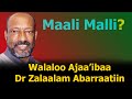Walaloo Dr Zalaalam Abarraatiin | MAALI MALLI? | Dr Zelalelem Abera Poem | Shewa Times