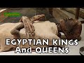 The Royal Mummies Of the Pharaohs Egyptian Museum In Tahrir Tour Visit3  المومياوات الملكية