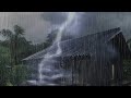 Instantly Relax and Fall Asleep with the Tranquil Rain Sounds ASMR - Rain Sounds, Relaxing, Sleeping