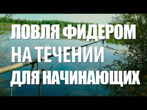 все о фидере для начинающих видео уроки все о фидере для начинающих видео уроки