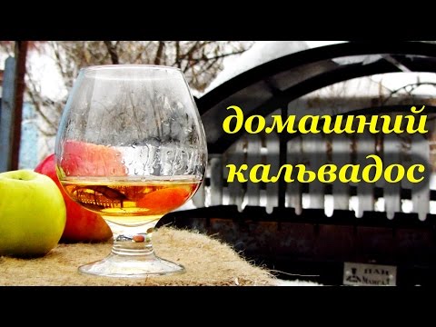 Приготовление в домашних условиях кальвадоса Приготовление в домашних условиях кальвадоса