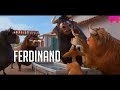 Ferdinand 2017 -Best Scenes - Happy ending - 1080p