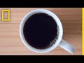 Download Caffeine 101 | National Geographic mp4 3gp mp3 videos - waplic