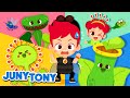 Why Do They Eat Bugs? | +More Bug Songs | Insect Songs for Kids | Animal Song | JunyTony