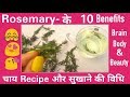 10 Health and Beauty benefits of ROSEMARY, Rosemary  के 10 स्वास्थ्य और सौंदर्य लाभ, TEA Recipe