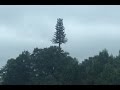Download Mystery Surrounds Unexplained Cellphone Tower in NC mp4 3gp mp3 videos - waplic