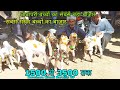 Totapari Breed Goat For Sale Goat Farm in India Bakri Palan Bareilly UP