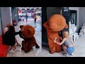 Top Funny Brown Bear and Kumamon in Tik Tok/Douyin
