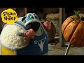 Shaun the Sheep 🐑 Shirely Gets in Shape 🏃‍♂️💪 Full Episodes Compilation [1 hour]