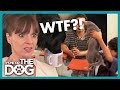 Victoria Horrified with what she see at Dinner Time! | It's Me or the Dog