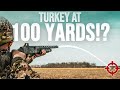How Far Can a 12 Gauge Down a Turkey? | TSS vs Lead