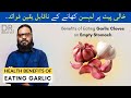 Garlic/Lehsan Ki Faide/Fayde | Benefits Of Eating Garlic On Empty Stomach in Urdu, Hindi Dr. Ibrahim
