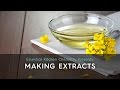 Making Extracts