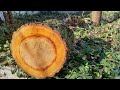 DIY Linden Wooden Barrel | Linden barrel | How to make a wooden barrel with your own hands