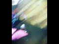 Kiss Daniel live performance in Akure fans love him