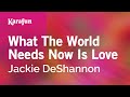 What the World Needs Now Is Love - Jackie DeShannon | Karaoke Version | KaraFun