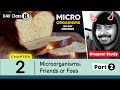 Chapter 2 | Microorganisms: Friends and Foes | Class 8 DAV Science | Chapter Study (Part 2) 🔥🔥🔥